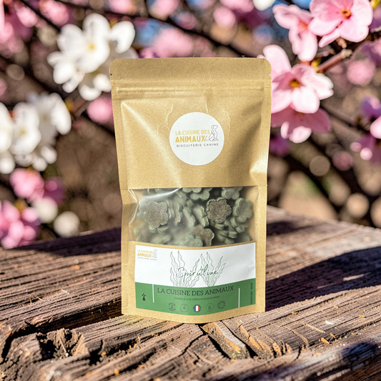 Biscuits spiruline
