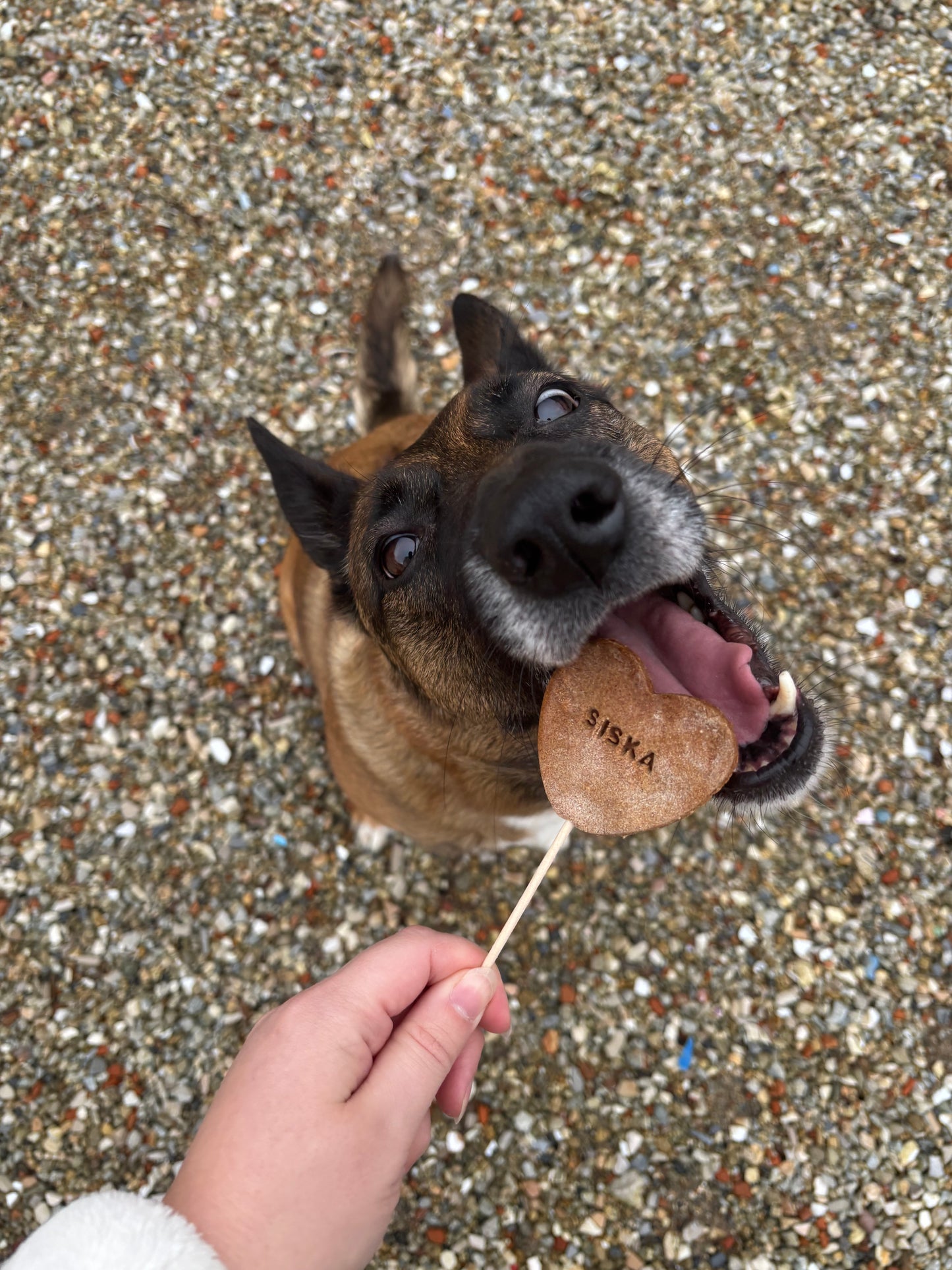 Sucettes personnalisées