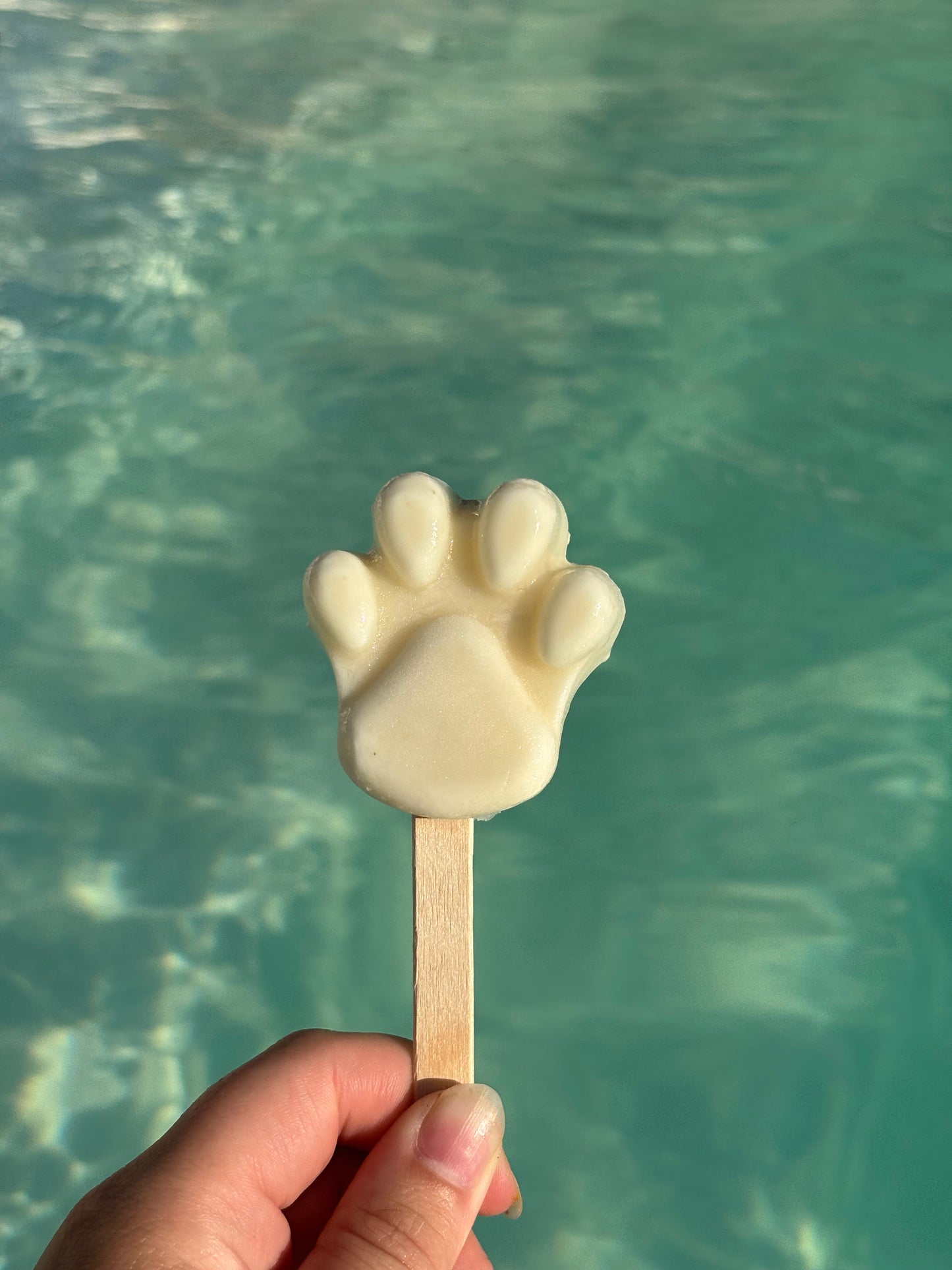 Ananas Tropicalđ
