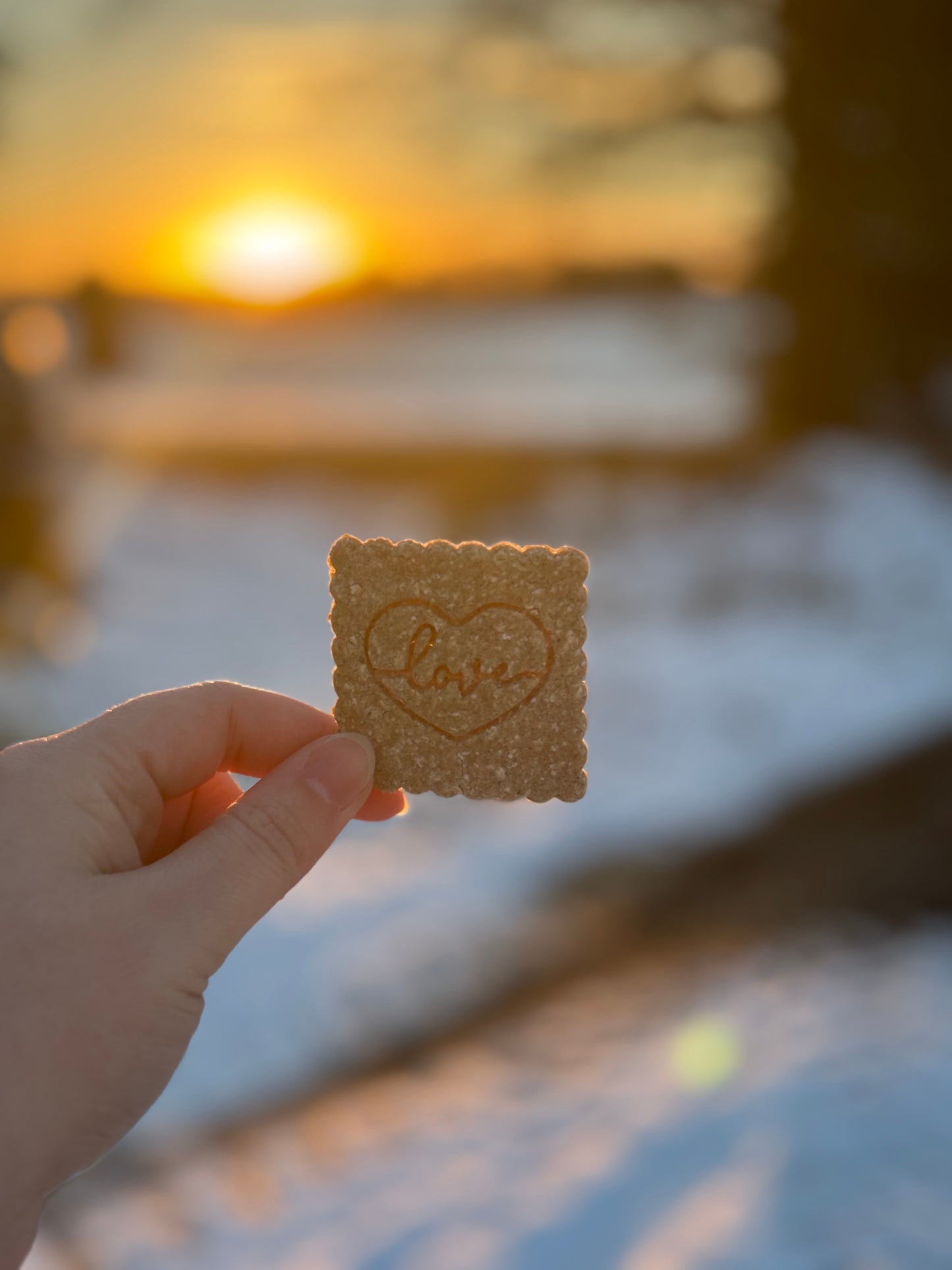 Biscuits LOVE - noix de coco