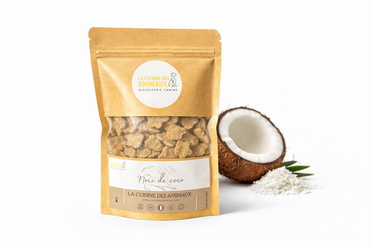 Biscuits noix de coco