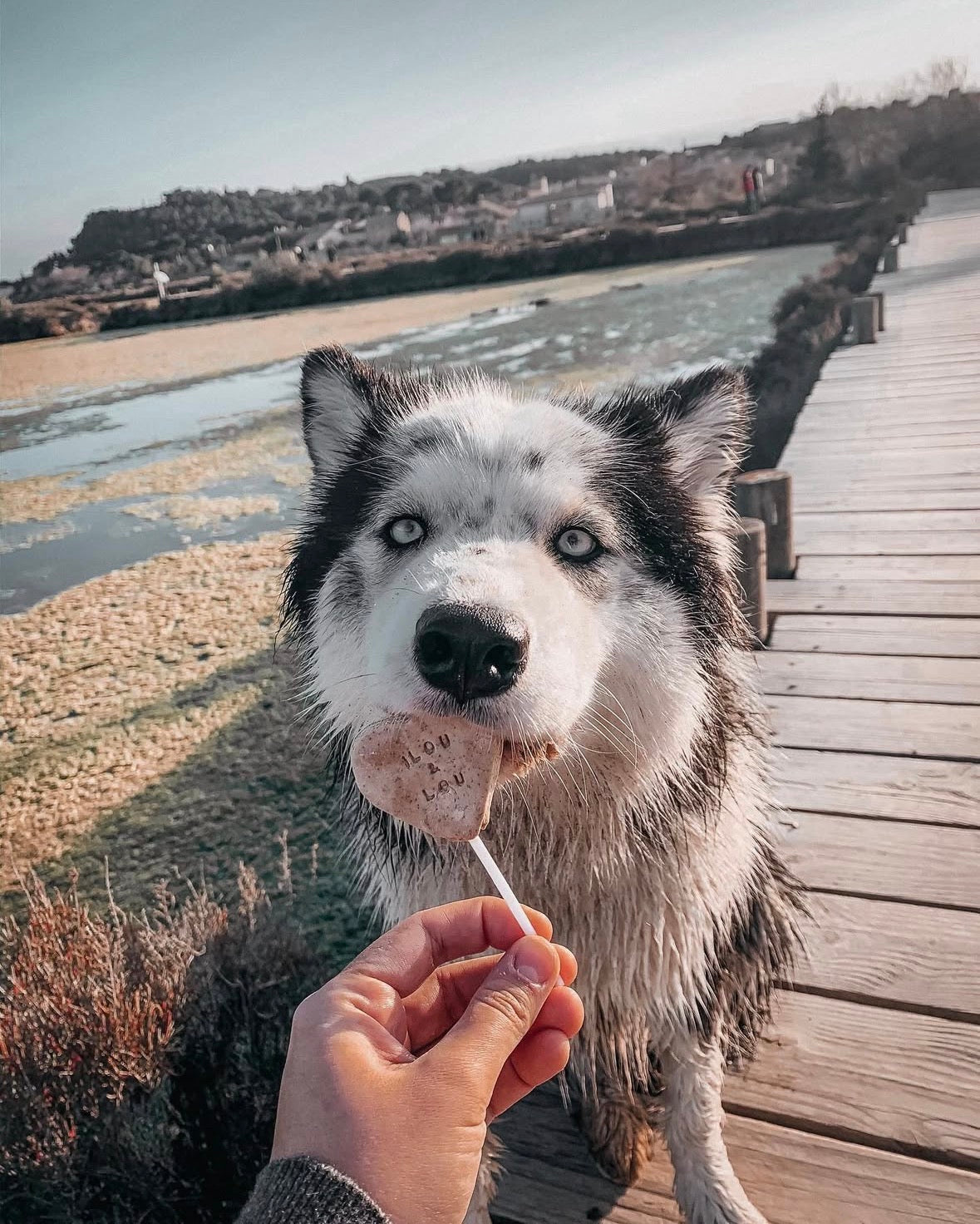 Sucettes personnalisées