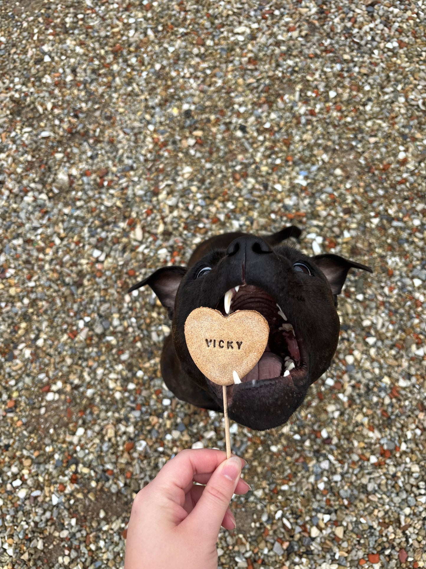 Sucettes personnalisées