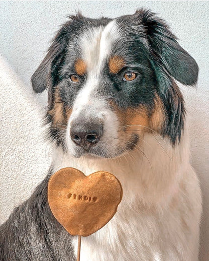 Sucettes personnalisées