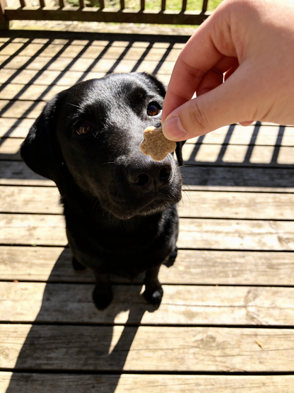 Biscuits de Pâques