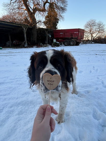 Sucette - Banane et beurre de cacahuète