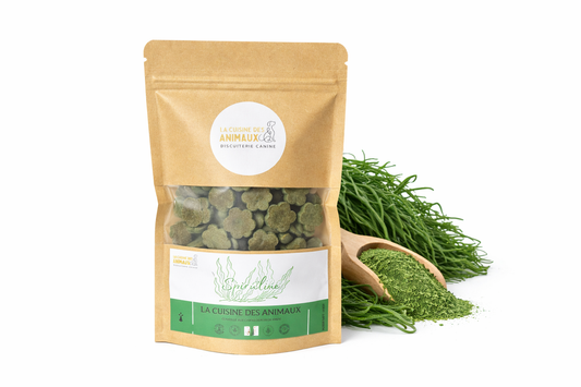 Biscuits spiruline