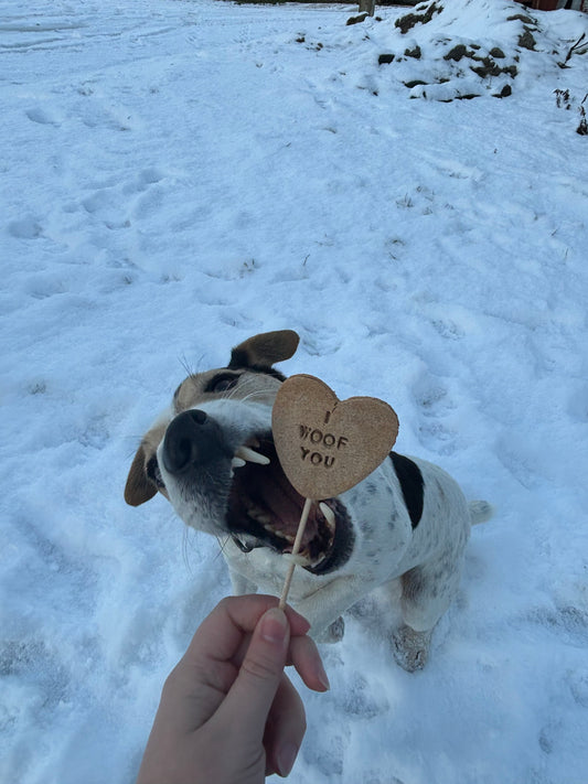 Sucette - Poire et miel