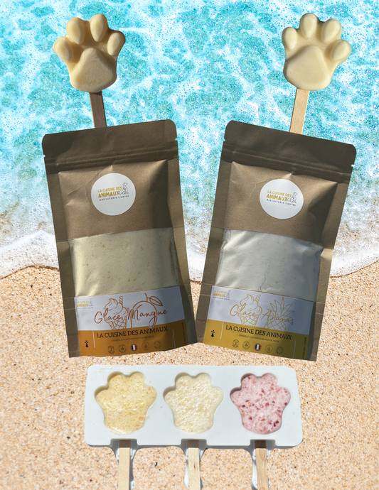 Kit découverte🍦